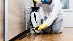 Best Residential Pest Control  in Randleman, NC